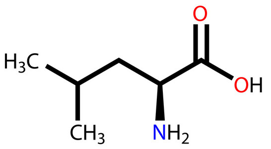 人体必需的氨基酸必需氨基酸亮氨酸分子式照片