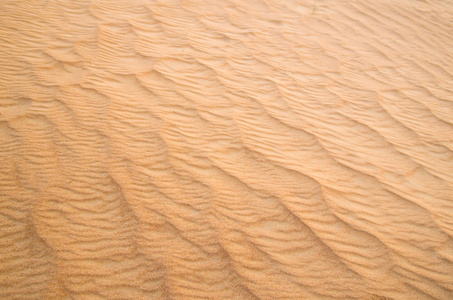 在黄金沙漠砂纹理
