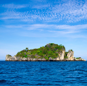 海滩和热带海