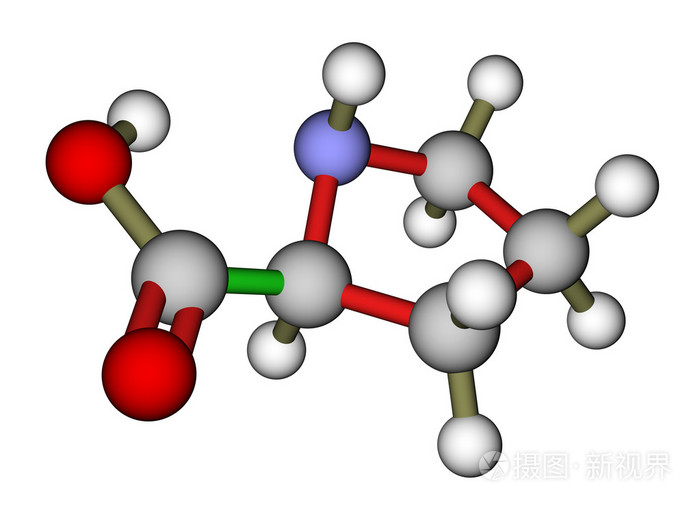 氨基酸脯氨酸分子的结构