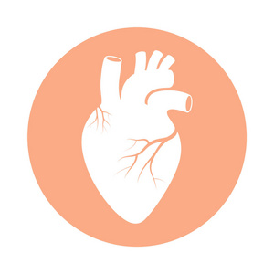 签下心脏。人体器官象征心脏。孤立的图标心脏在玫瑰圈子在白色背景。向量例证