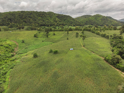 玉米产业在山在泰国。无人机航拍照片