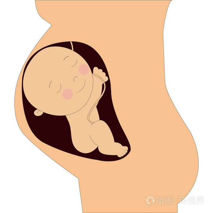 胎儿插画-正版商用图片0afmi5-摄图新视界