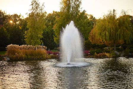 在秋季公园的湖中喷泉的看法