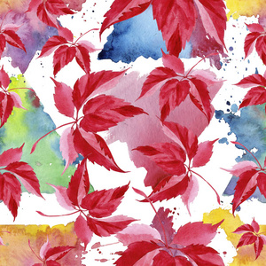 水彩红葡萄叶子。叶植物植物园花叶。无缝的背景图案。织物墙纸打印纹理。背景纹理包装图案的水彩画叶