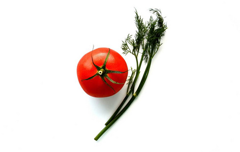 西红柿和绿色莳萝