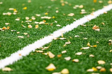 在足球场上的人造绿色草地上的黄色叶子。带白条线的绿色人工草坪草地足球运动场