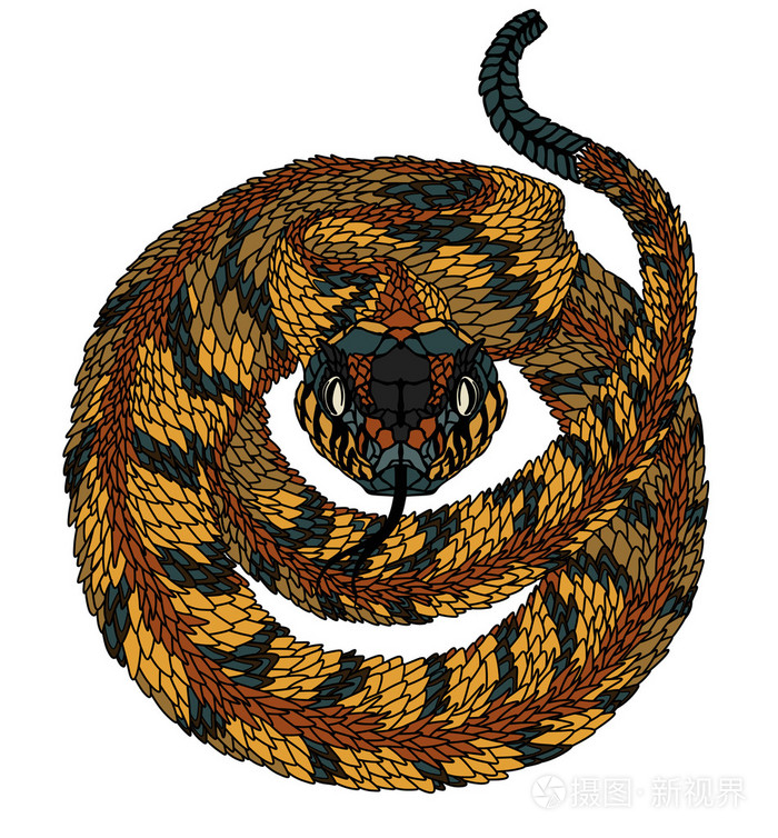 蛇的迷幻.插图插画-正版商用图片0ahd6b-摄图新视界