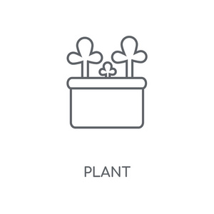 植物线性图标。植物概念笔画符号设计。薄的图形元素向量例证, 在白色背景上的轮廓样式, eps 10