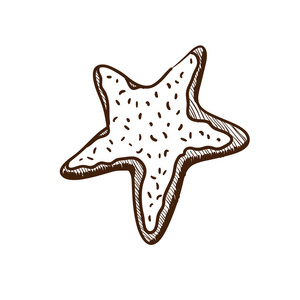 cookie 明星素描