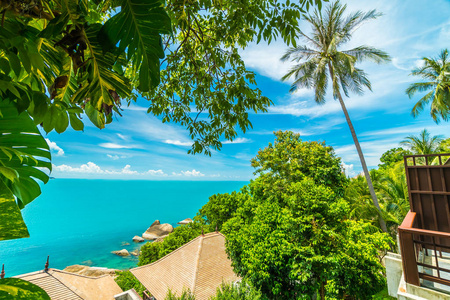 美丽的海景海滩和海与椰子棕榈树在苏梅岛岛泰国旅游和度假