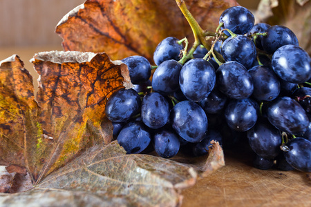 成熟的蓝色葡萄