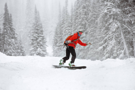 滑雪者女性越野森林滑雪坡