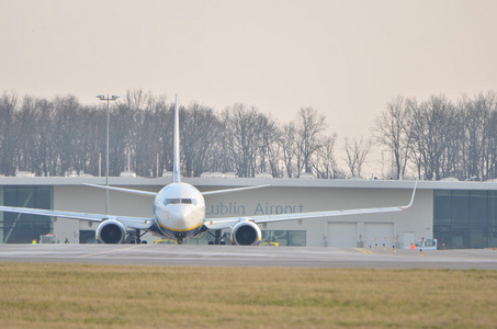 瑞安航空飞机在特殊绘画