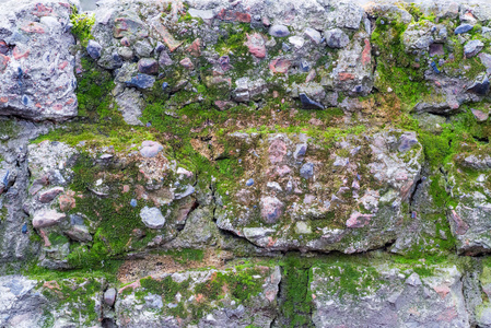 旧砖墙纹理长满了苔藓