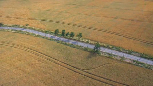 道路的鸟图。路周围有田野