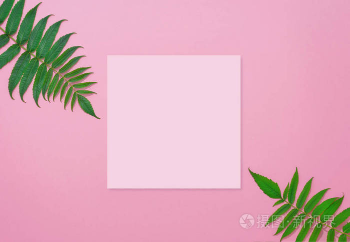 平躺 方形粉红色纸空白页和绿色植物在粉红色粉彩色纸背景.文本位置