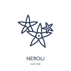 尼罗利图标。neroli 线性符号设计从自然收藏。简单的大纲元素向量例证在白色背景