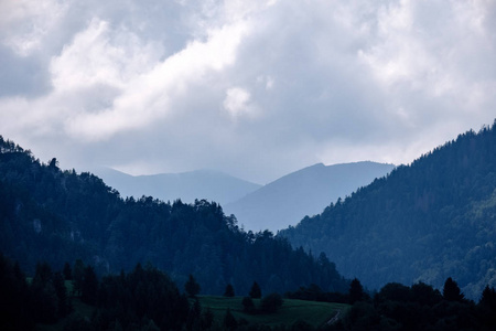 西部大兴安岭云雾森林全景图。Tatra 在朦胧的日落, 遥远的地平线。斯洛伐克在初秋