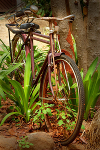 旧的老式自行车的特写