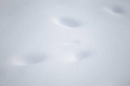 新鲜的雪纹理的背景。背景与雪纹理。有复制空间的新鲜的雪背景