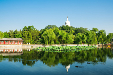 中国北京北海公园, 有白塔和蓝天。这是北京市中心的一个公共公园。它曾经是许多朝代的皇家庭院