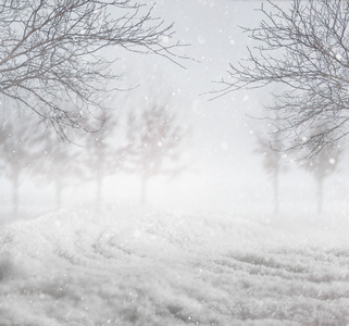 白雪皑皑的冬天背景