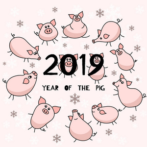 2019年的猪