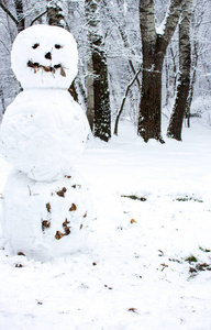 冬日森林里带着微笑的雪人。圣诞乐趣。新年庆典。霜冻和雪背景。冬季户外装饰。可怕的雪人