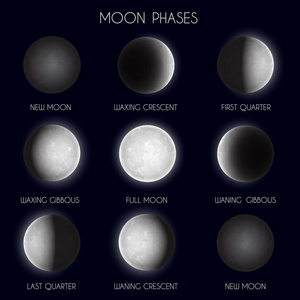 月球相射夜空间天文学。从新月到满月的整个周期。向量例证