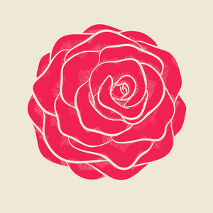 美丽的粉红色玫瑰在手绘的葡萄酒颜色的图形样式
