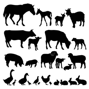 一套家养动物的剪影。家畜。牲畜。矢量插图