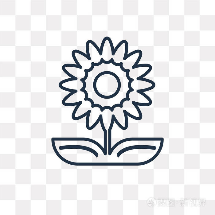 向日葵矢量轮廓图标隔离在透明背景上, 高品质线性向日葵透明度概念