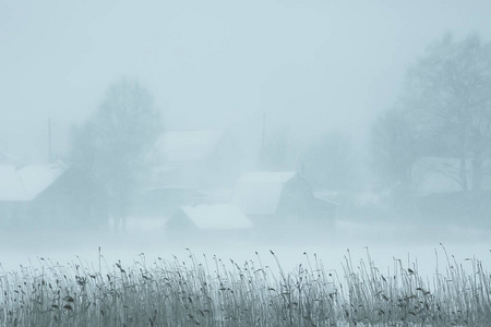 雾冬景观, 降雪和森林, 寒冷的季节性天气