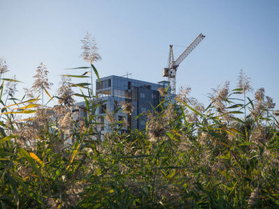 建造现代化建筑。环保型住宅的概念