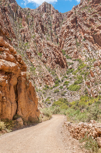 在 Swartberg 中的地质构造