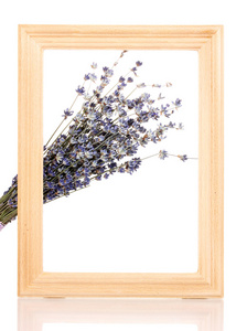 薰衣草鲜花与孤立在白色的木制框架