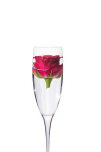 美丽暗红色玫瑰在玻璃的特写视图