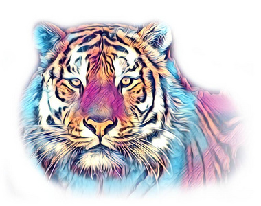 虎艺术插图颜色