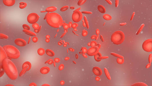3d 红血球例证