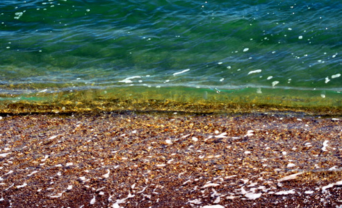 黑海棕色沙质海岸上的绿色波浪