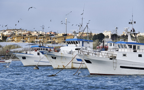木质渔船和海鸥在端口