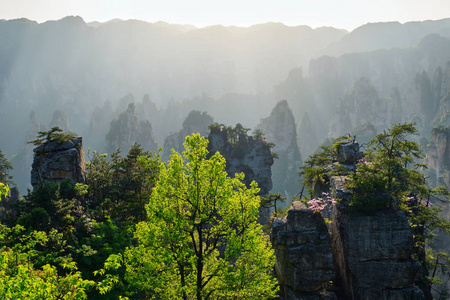 张家界山脉, 中国