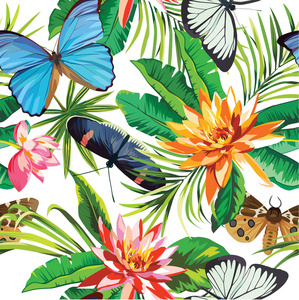 热带花朵和蝴蝶图案
