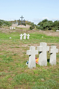 在俄罗斯的德军士兵的公墓图片