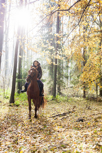 马术骑马在秋季性质