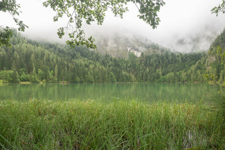 自然射击在 Gleinkersee 在奥地利