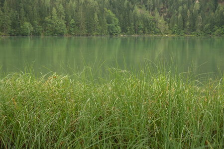 自然射击在 Gleinkersee 在奥地利