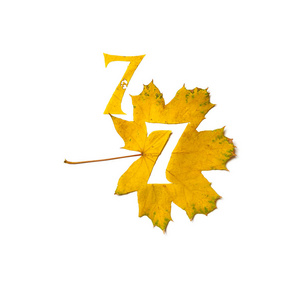 秋天的数字。数字7是从一个美丽的黄色枫叶在白色背景雕刻。在工作表上, 信函的字母模式