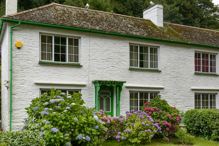 绣球花和小屋，波尔佩罗